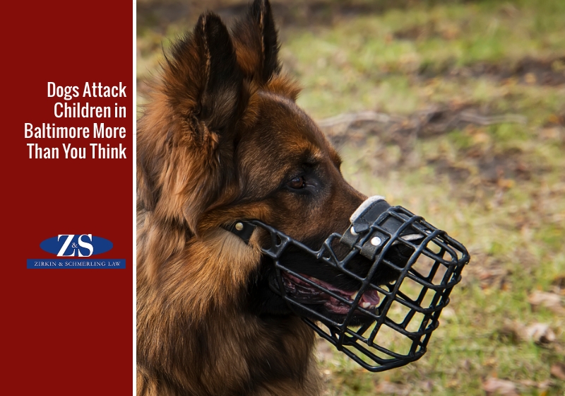 Dogs Attack Children in Baltimore More Than You Think﻿