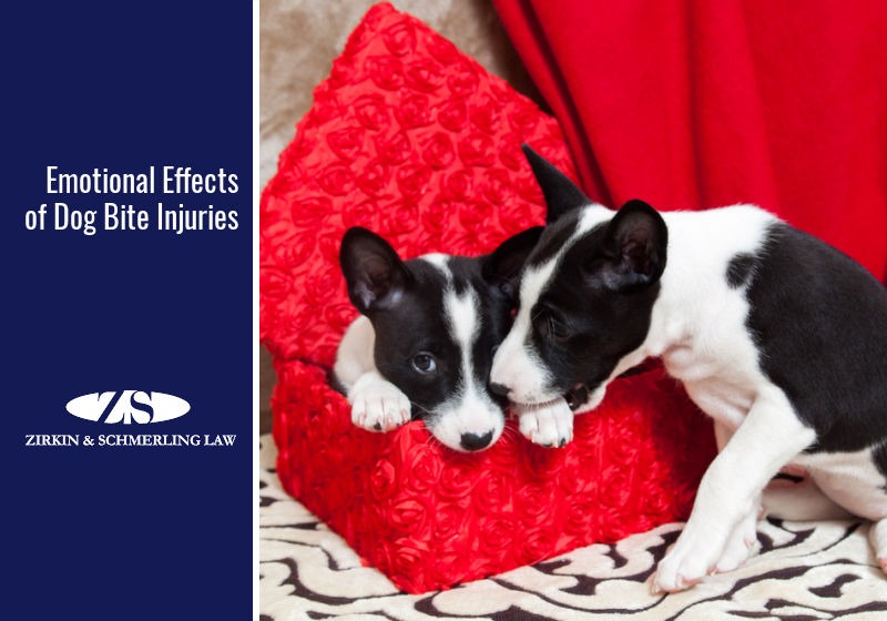 Emotional Effects of Dog Bite Injuries