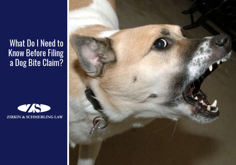 What Do I Need to Know Before Filing a Dog Bite Claim?